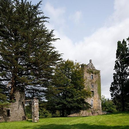 Villa Dripsey Castle Estate Cork Exterior foto