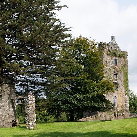 Villa Dripsey Castle Estate Cork Exterior foto