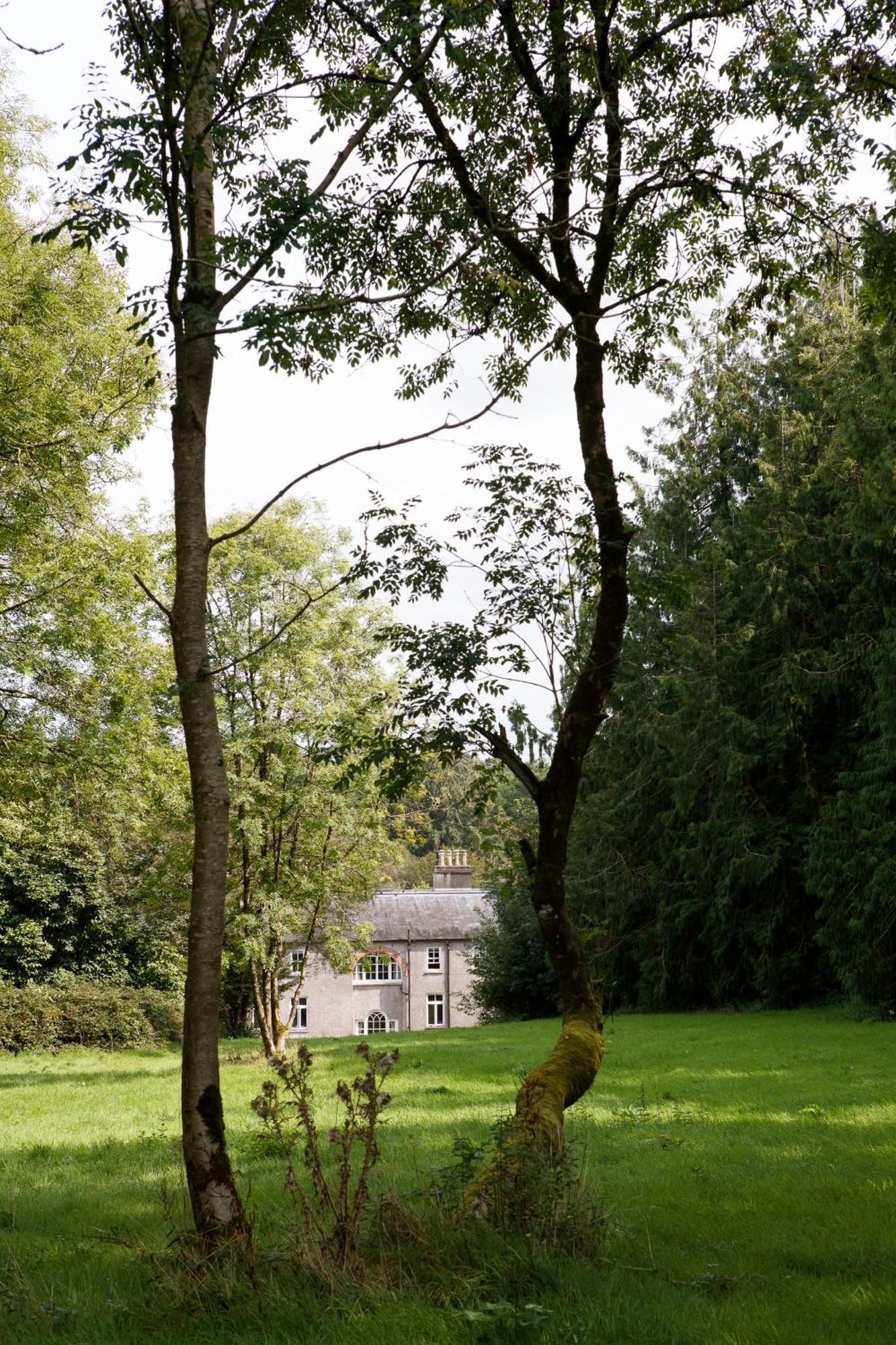 Villa Dripsey Castle Estate Cork Exterior foto