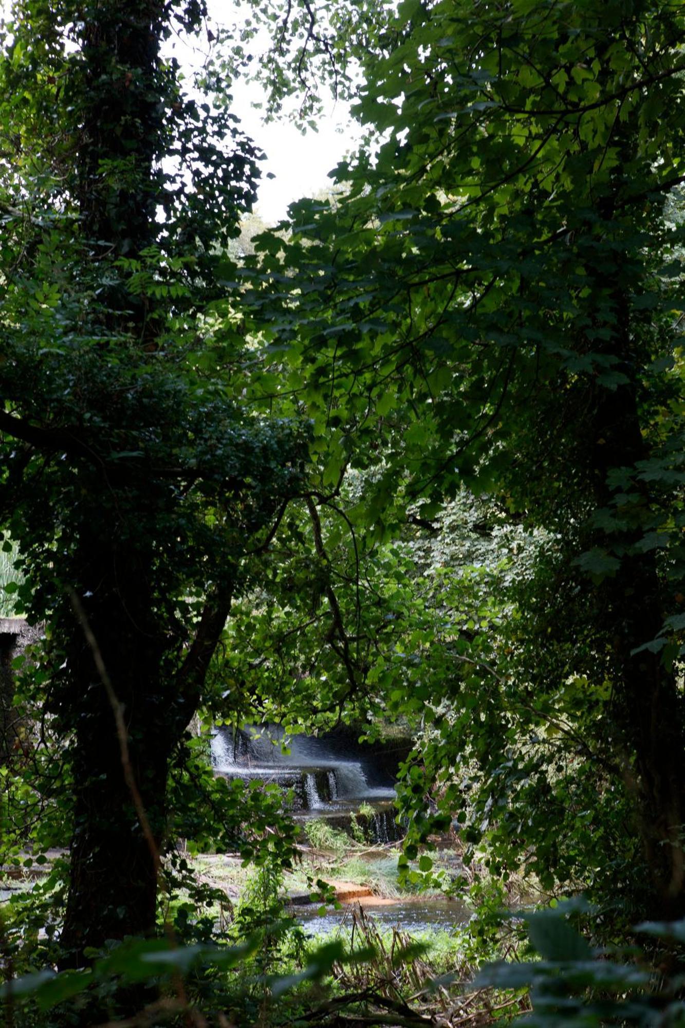 Villa Dripsey Castle Estate Cork Exterior foto