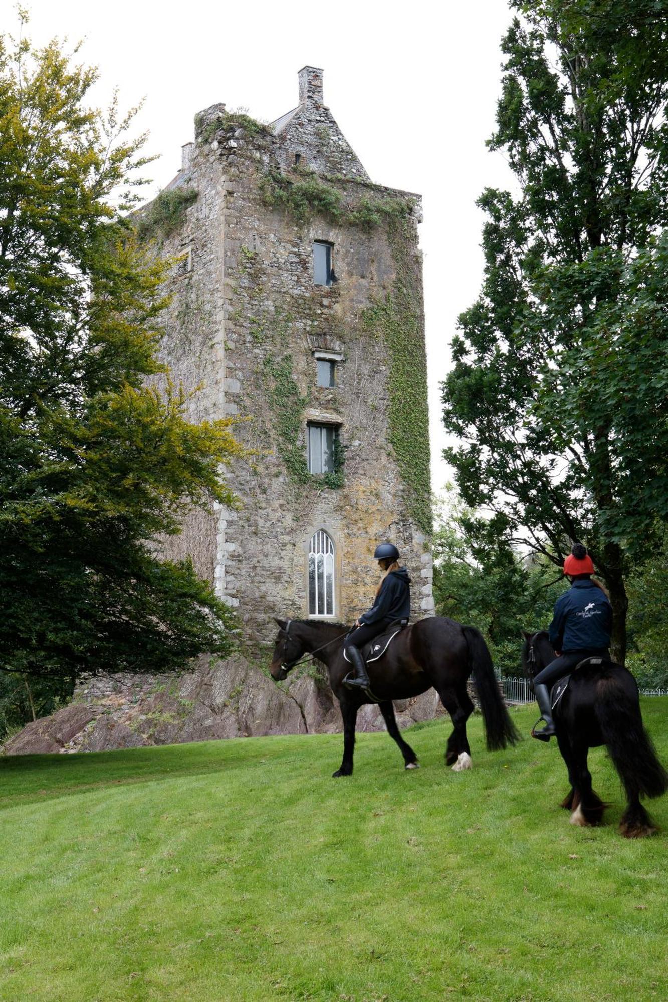 Villa Dripsey Castle Estate Cork Exterior foto