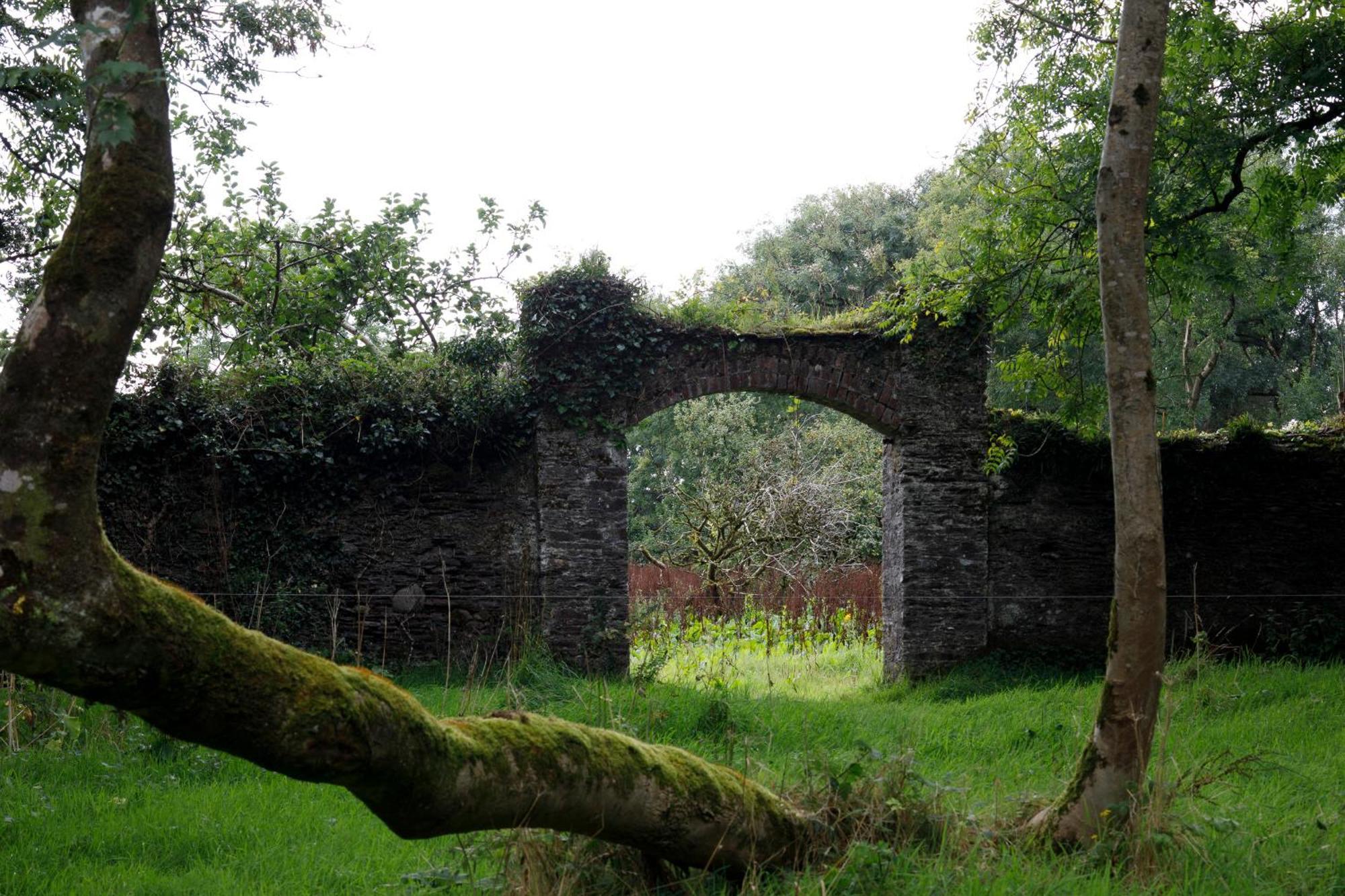 Villa Dripsey Castle Estate Cork Exterior foto