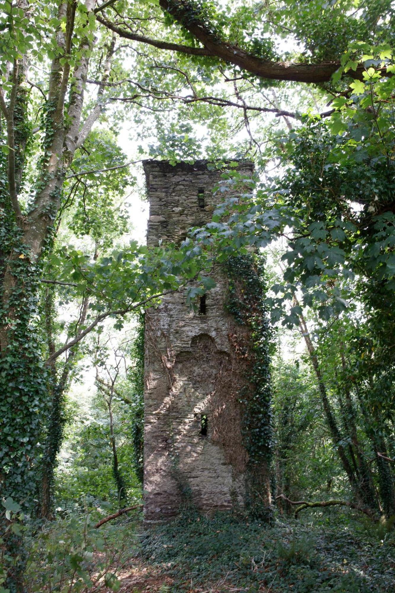Villa Dripsey Castle Estate Cork Exterior foto